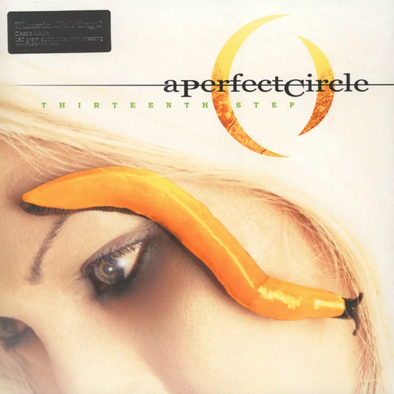 A_Perfect_Circle-Thirteenth_Step_EU