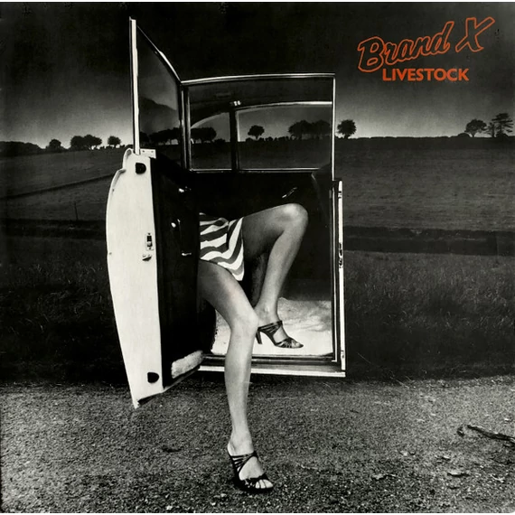 Brand_X-Livestock_GER