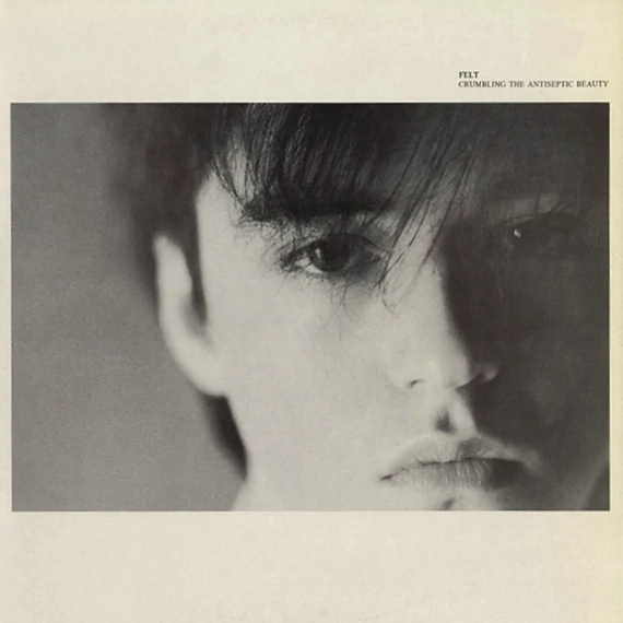 Felt-Crumbling_The_Antiseptic_Beauty_UK