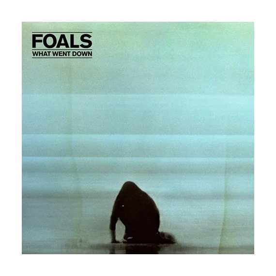 Foals-What_Went_Down_EU
