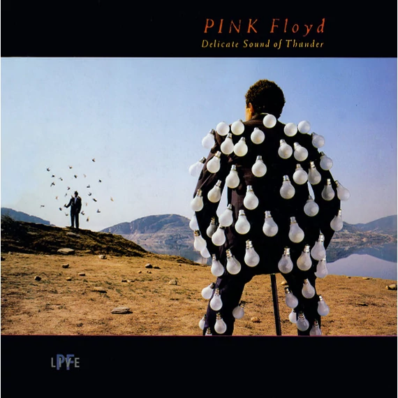 Pink_Floyd-Delicate_Sound_Of_Thunder_HUN